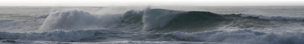 Image of Wave